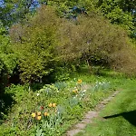 Schloss Pesenbach Im Freizeitland * 펠드키르첸안데르도나우