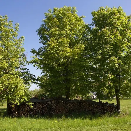 Appartement Schloss Pesenbach Im Freizeitland