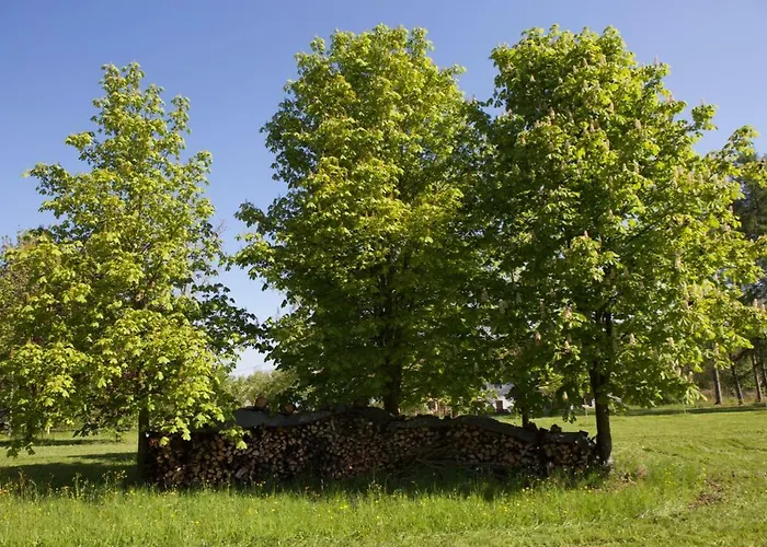 Appartement Schloss Pesenbach Im Freizeitland