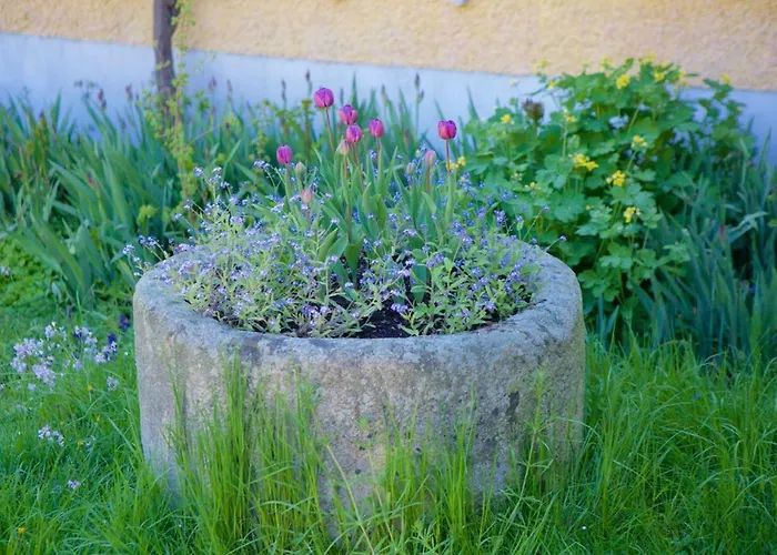 Schloss Pesenbach Im Freizeitland